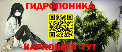 spice Гусев