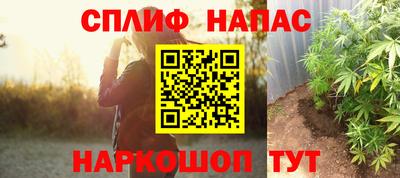 spice Гусев