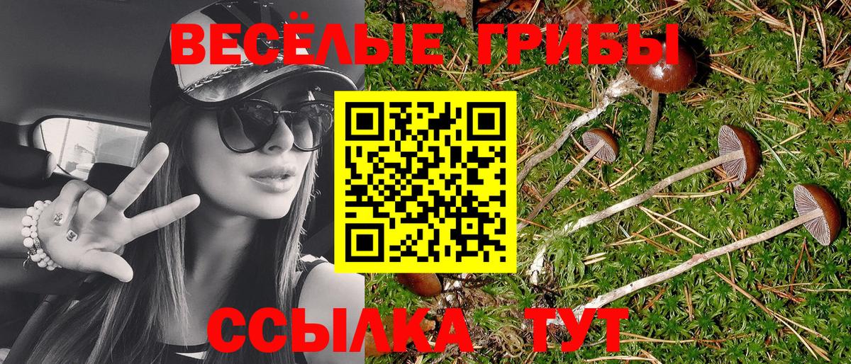 Псилоцибиновые грибы Magic Shrooms  Вход с VPN  Коломна  Псилоцибиновые грибы GOLDEN TEACHER 